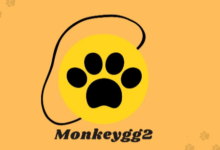 Monkeygg2 Unblocked