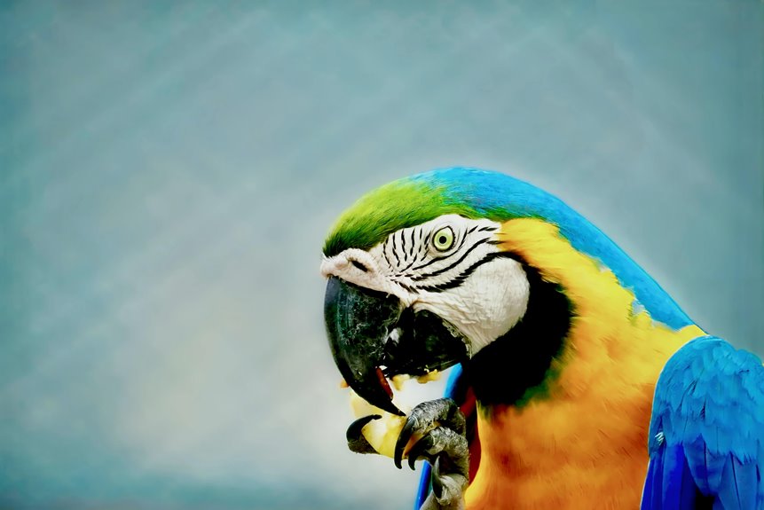 b7 750ml kolkata price