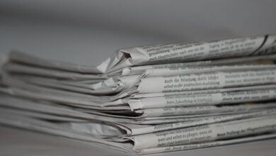 influencer news updates online