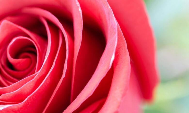 lovestruck jitters in music