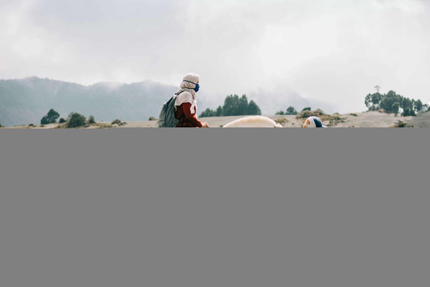 stunning animation creation guide