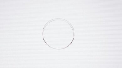 rice purity test guide