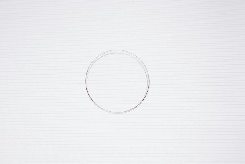 rice purity test guide