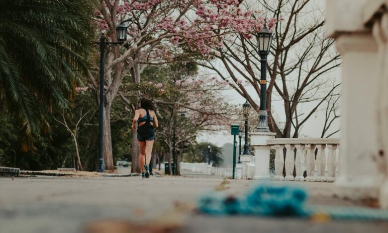 continuous updates and notifications