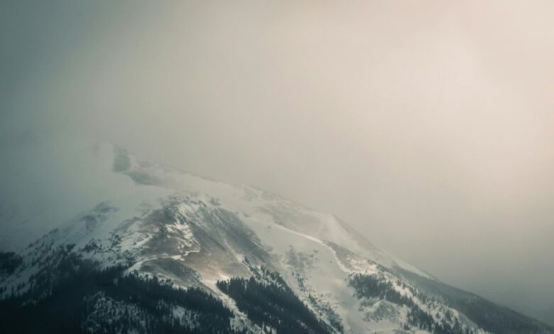 download aarya editz presets