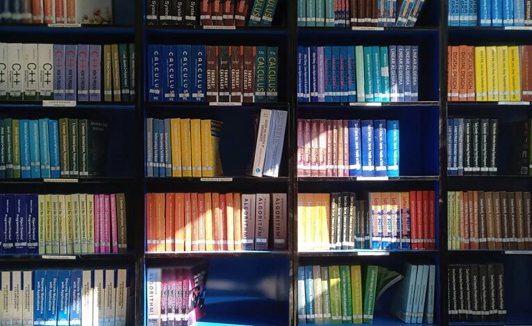 educational initiatives in punjab