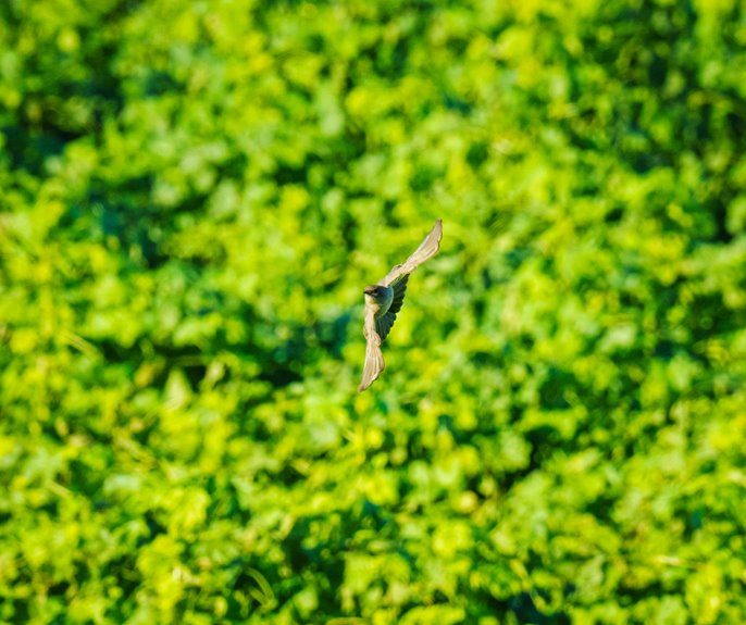 enhance your systems efficiently