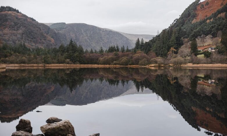 irish news and updates