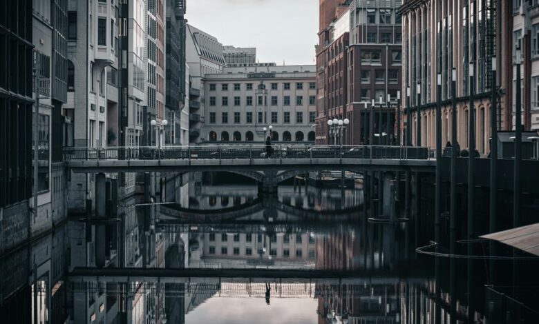 mahitech information services company