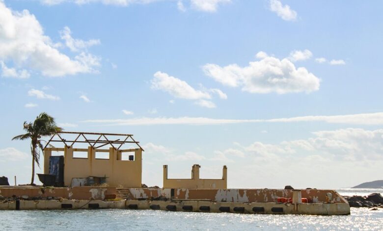 recover telegram account easily