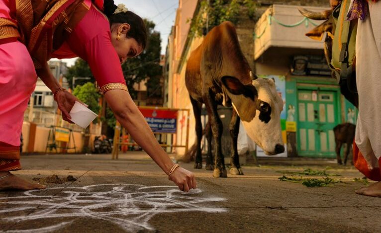 tamil movies download site