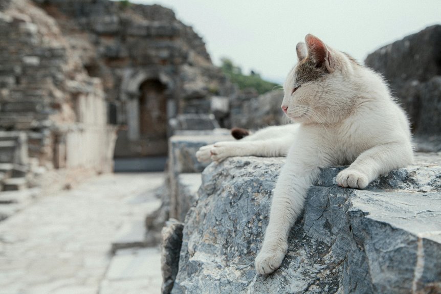 unclear or nonsensical expression