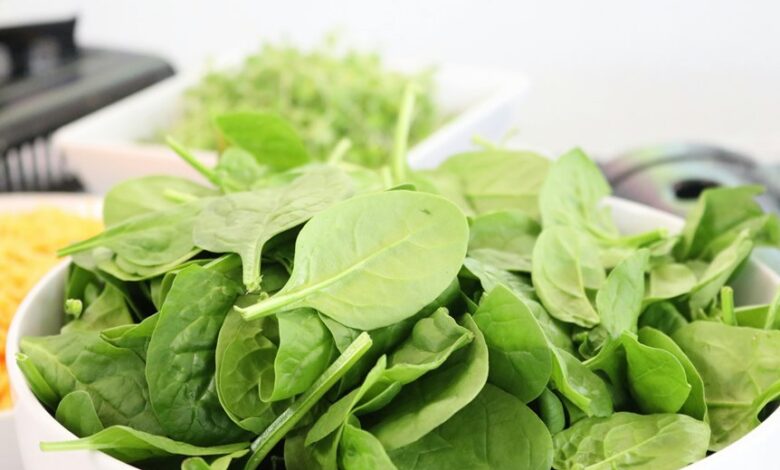 vegan lifestyle and cuisine