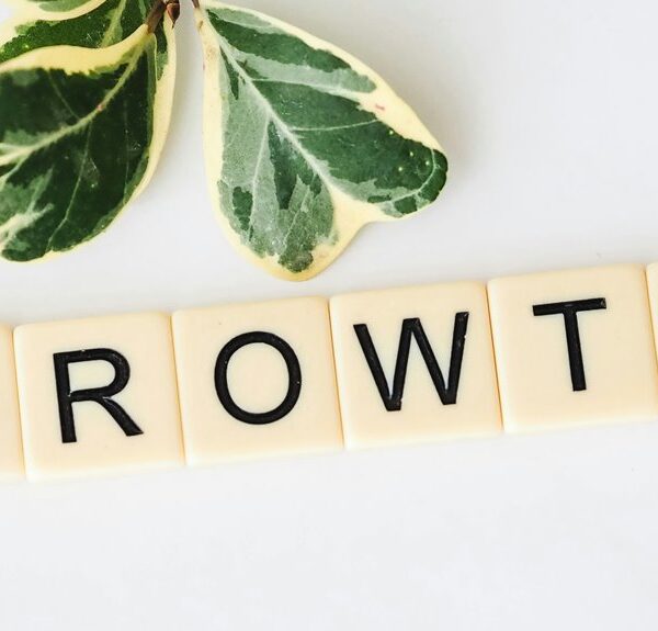 cosmic node growth shaping next level