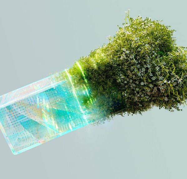 digital prism drives transformative growth