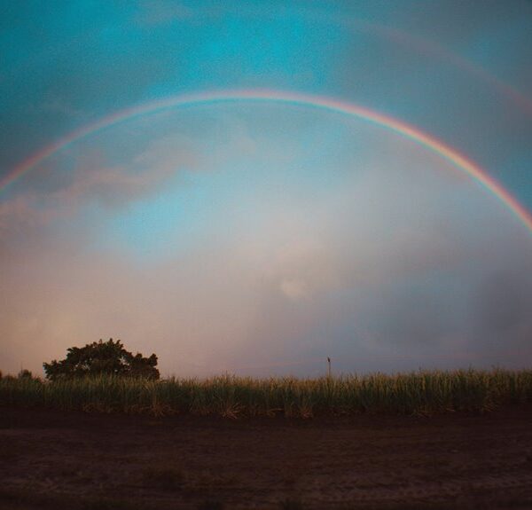 horizon arc drives transformative synergy