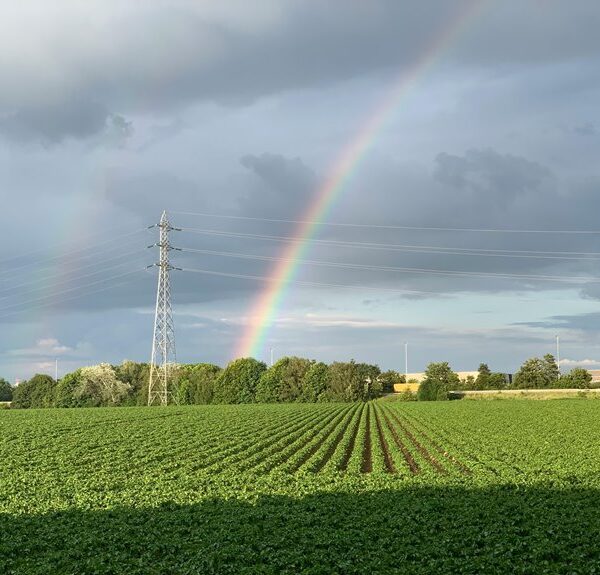 infinite arc unlocks market horizons