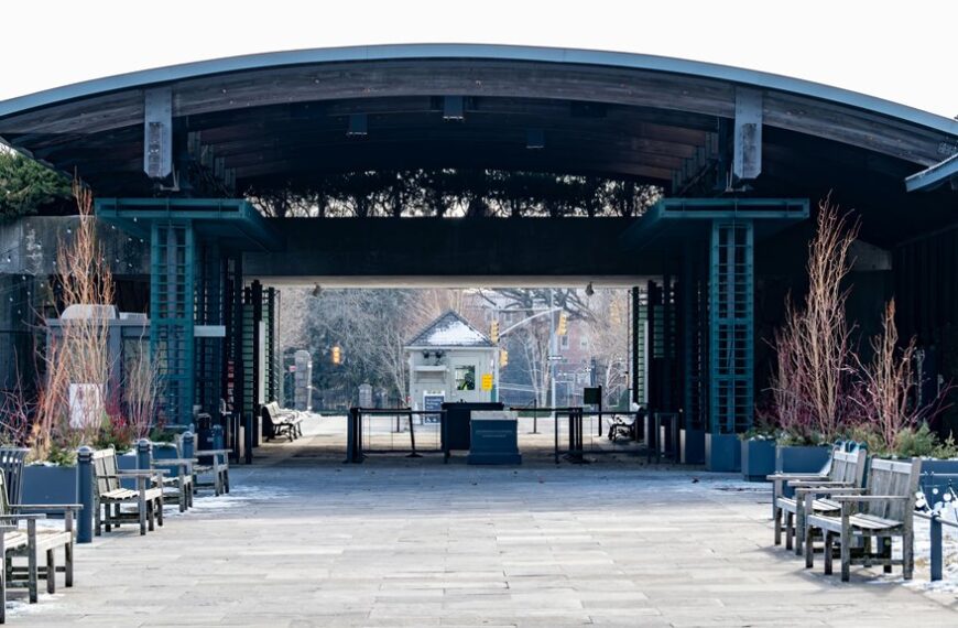 momentum gateway launch fueling expansion